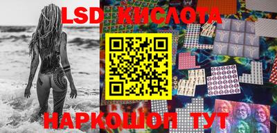 крисы Кинель