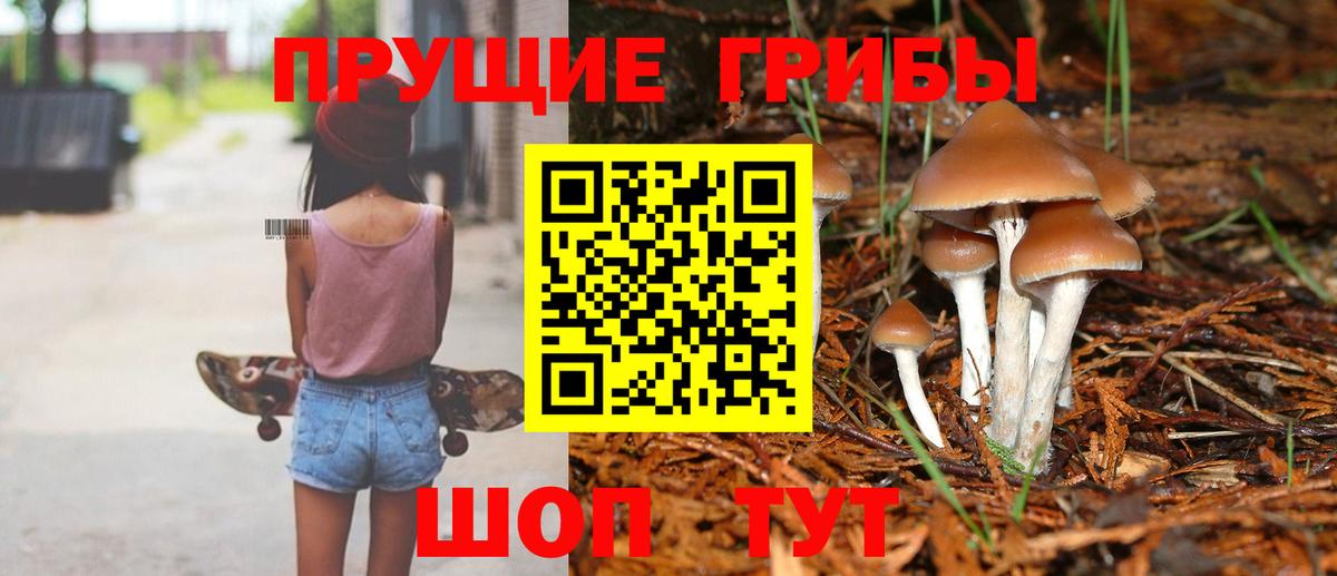 Псилоцибиновые грибы MAGIC MUSHROOMS  Вход с VPN  Псилоцибиновые грибы Magic Shrooms  Усть-Илимск 
