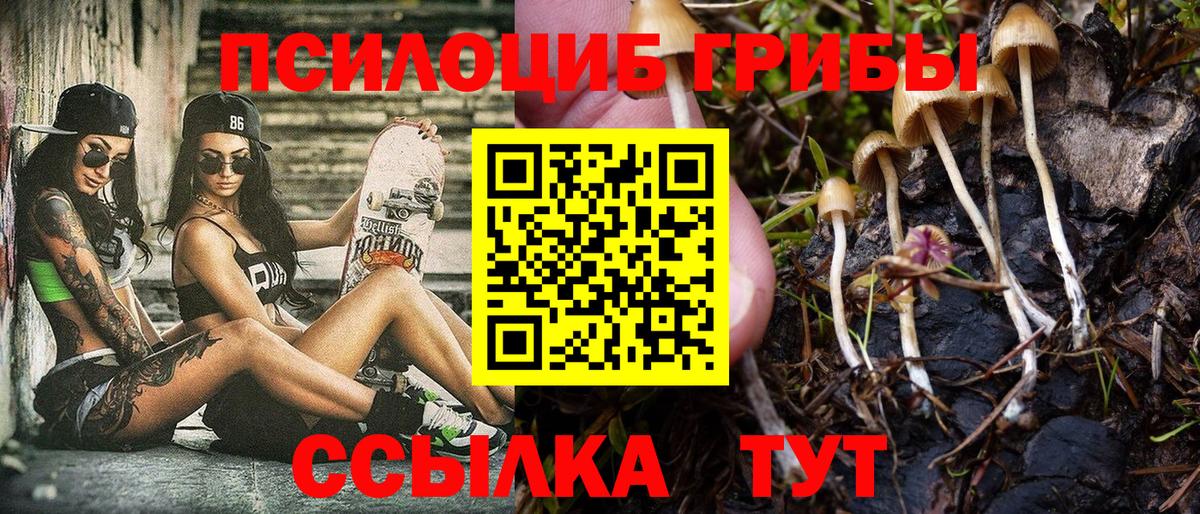 Галлюциногенные грибы MAGIC MUSHROOMS Усть-Илимск